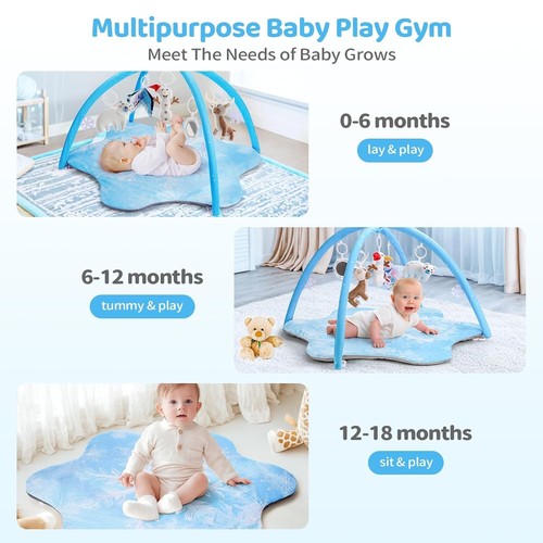 Portable Infant Tummy Time Mat with 5 Soft Sensory Toys - For Baby's Growth - Picture 6 of 10