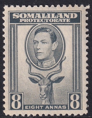 SOMALILAND PROTECTORATE GVI SG99, 8a grey, Mounted MINT.