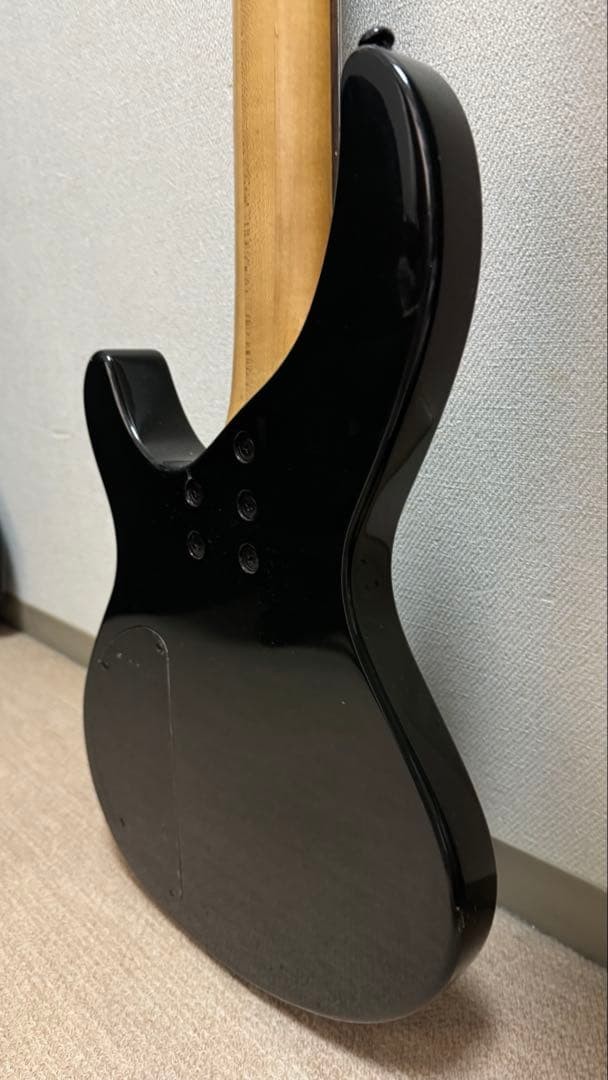 5 string] Aria Pro II IGB-STDIII/5 | eBay