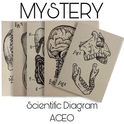 ACEO MYSTERY Hand Drawn Scientific Diagram ACEO on Cardstock Paper 