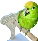 Bild 13 von 14