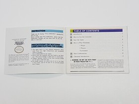 Palamedes Authentic Original NES Nintendo Manual Only