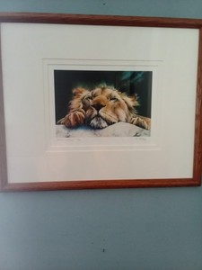 A Beautiful Lion Print Limited Edition Number 7/100  By Artist B. Miles