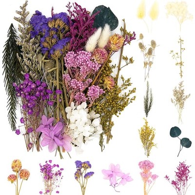Natürliche getrocknete Blumen Set Blüten Violett Bastel Dekoration Geschenk