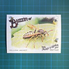 Yellow Jacket | 2024 Topps Allen & Ginter | #BUZ-13 Buzzin Insert