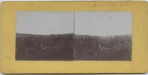 Photographies d'art du XIXe siècle et avant procédés anciens