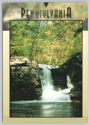 Postcard PENNSYLVANIA Ricketts Glen State Park Murray Remolds Falls Luzerne Co.