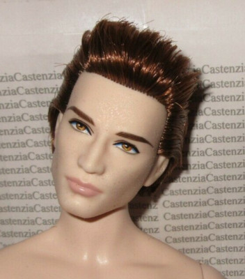 B178) NUDE KEN TWILIGHT EDWARD CULLEN MODEL MUSE BRUNETTE KEN DOLL FOR
