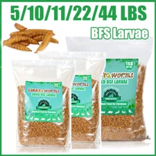Premium Dried Black Soldier Fly Larvae Mealworms for Chickens Fish Turtles LOT