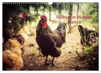 "Calendar 2027 · US Version · Chickens In My Garden (Wall Calendar 2027 17\" × 12\""