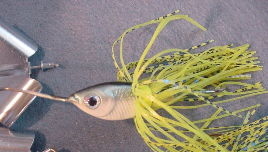 2 ~1/2 oz  Buzzbaits Pro Assassinator Patented Drop Head Buzzbait ~American Shad - Image 2