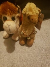 Jerusalem Stuffed Camels