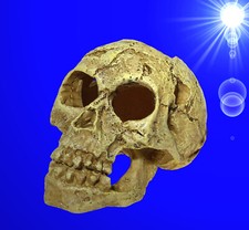 1A Aquarium Deko kleiner ❤ Totenkopf ❤ Totenschädel Terrarium Zubehör Höhle .