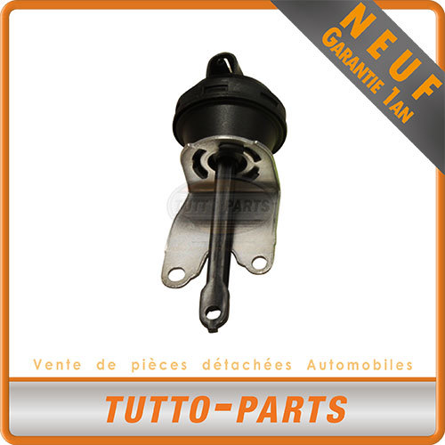 Capsule depression collecteur Papillon 2.0 TDi pour resoudre les pannes de moteur A3 Golf 5