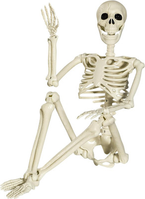 Halloween Plastikskelett, 90Cm Ganzkörper Skelett Mit Beweglichen Gelenken Für I