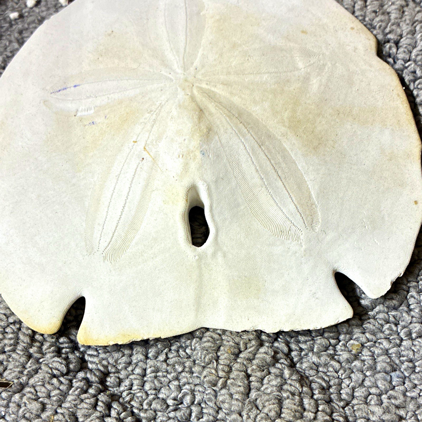 Picture 1