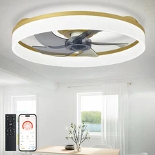 DLLT LED Ceiling Fan with Light: 20" Modern Low Profile Flush Mount Fandelier...