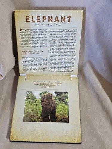 Safari Fotobuch Scanimation pädagogische Tiere bewegen sich beim Umblättern. Selten - Bild 5 von 6