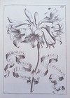 Foto 6 di 12