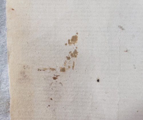 Antik 18. Jahrhundert? Chinesische japanische Bambus Kalligraphie Tintenmalerei - Bild 8 von 24