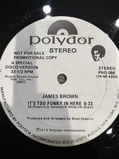 RARE James Brown It’s To Funky In Here Disco Version Limited Release 12” Single