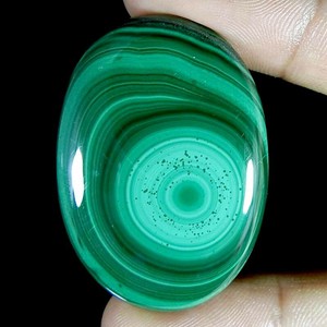 aaa quality designer