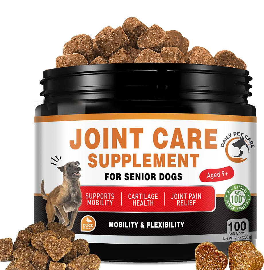 Image showcasing Best Dog Food For Sore Joints