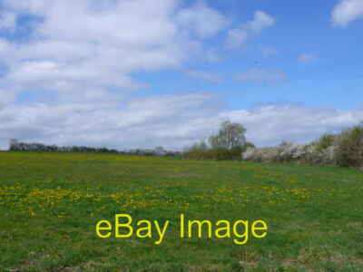 Photo 6x4 Meadow near Sturminster Newton The may was finally out and the  c2013
