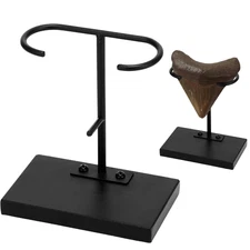 1 Pc Megalodon Shark Tooth Display Stand Metal Shark Tooth Holder Display Easel