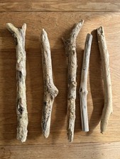 5 CHUNKY DRIFTWOOD BRANCH Sea Wood Art Display Hanger Pole Round Model Reptile