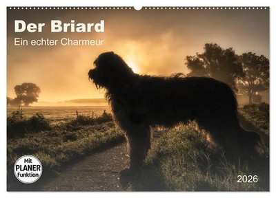 Sonja Teßen | Der Briard 2026 - Ein echter Charmeur (Wandkalender 2026 DIN A2...