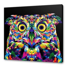 Owl colourful canvas print picture wall art home decor free fast UK delivery