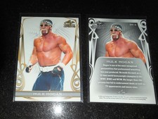 Hulk Hogan Wrestling 2023 Leaf Trinity Mega Box Card #BS-6