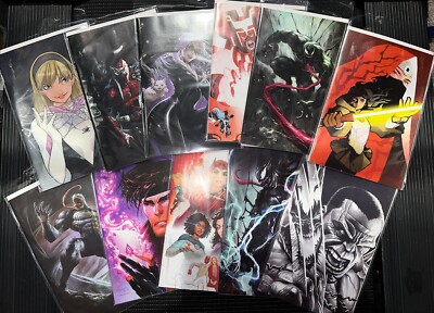 Mystery Comic Pack Of 12- All Retailer Exclusive VIRGINS- Recent Releases Only!
