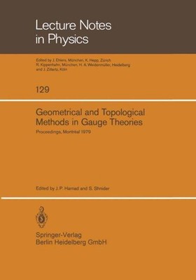 Geometrical and Topological Methods in Gauge Theories | S. Shnider (u. a.)