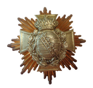 Casque à pointe, spikhelmet: Belle plaque modèle 95 Troupe de réserviste Saxon.