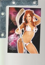 2008 Benchwarmer BASE/International Singles PICK FROM LIST UpTo 40%OFF PLAYBOY