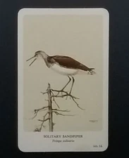 General Cigar Company Trading Card - No. 16 Solitary Sandpiper - Card 1
