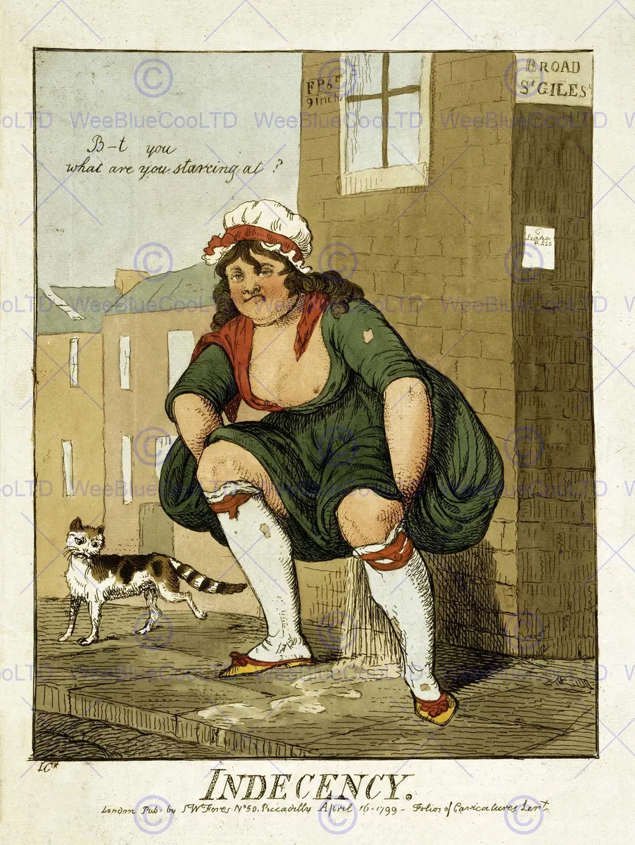 PAINTING DRAWING INDECENCY WOMAN PEE CAT FUNNY FINE ART PRINT POSTER CC1108  | eBay