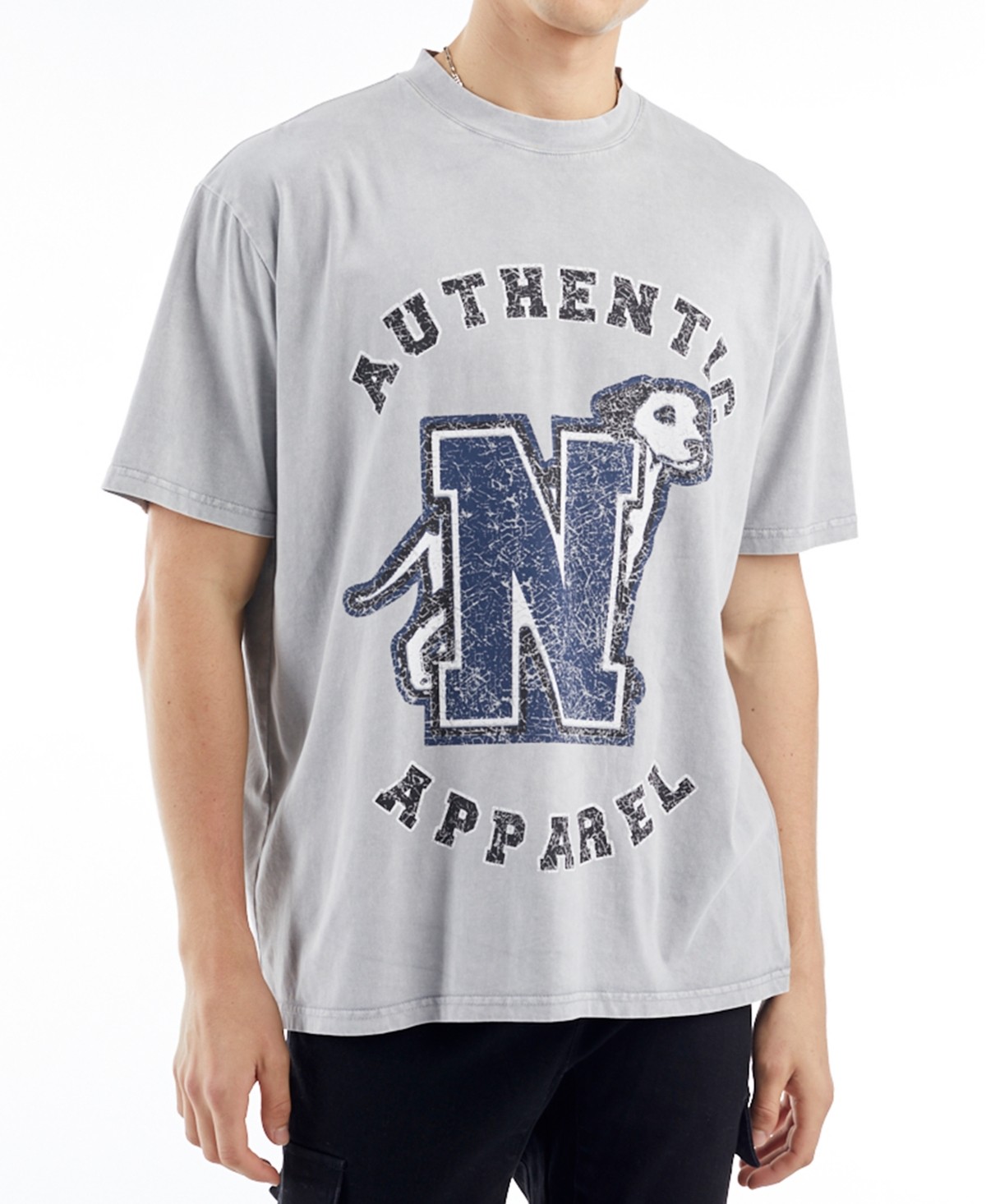 Nana Judy Мужская футболка с графическим рисунком Nana jUDY Delta Varsity серого цвета 7290₽