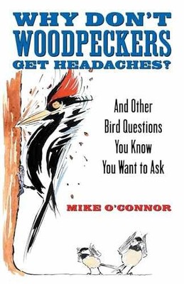 Why Don't Woodpeckers Get Headaches?: - Paperback, by O'Connor Mike - Very Good