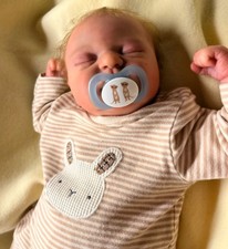 Julien von elisa marx Reborn