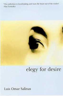 Elegy for Desire - Paperback NEW Luis Omar Salin April 2005