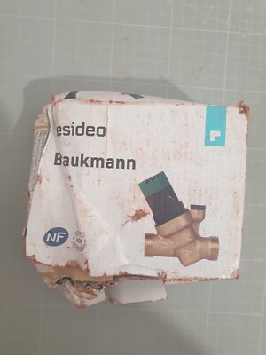 Honeywell Resideo Braukmann D05FS-1/2EF Druckminderer DN15