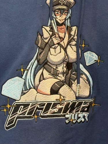 Esdeath Embroidered Blue Hoodie Prisma XL Anime - Picture 2 of 7