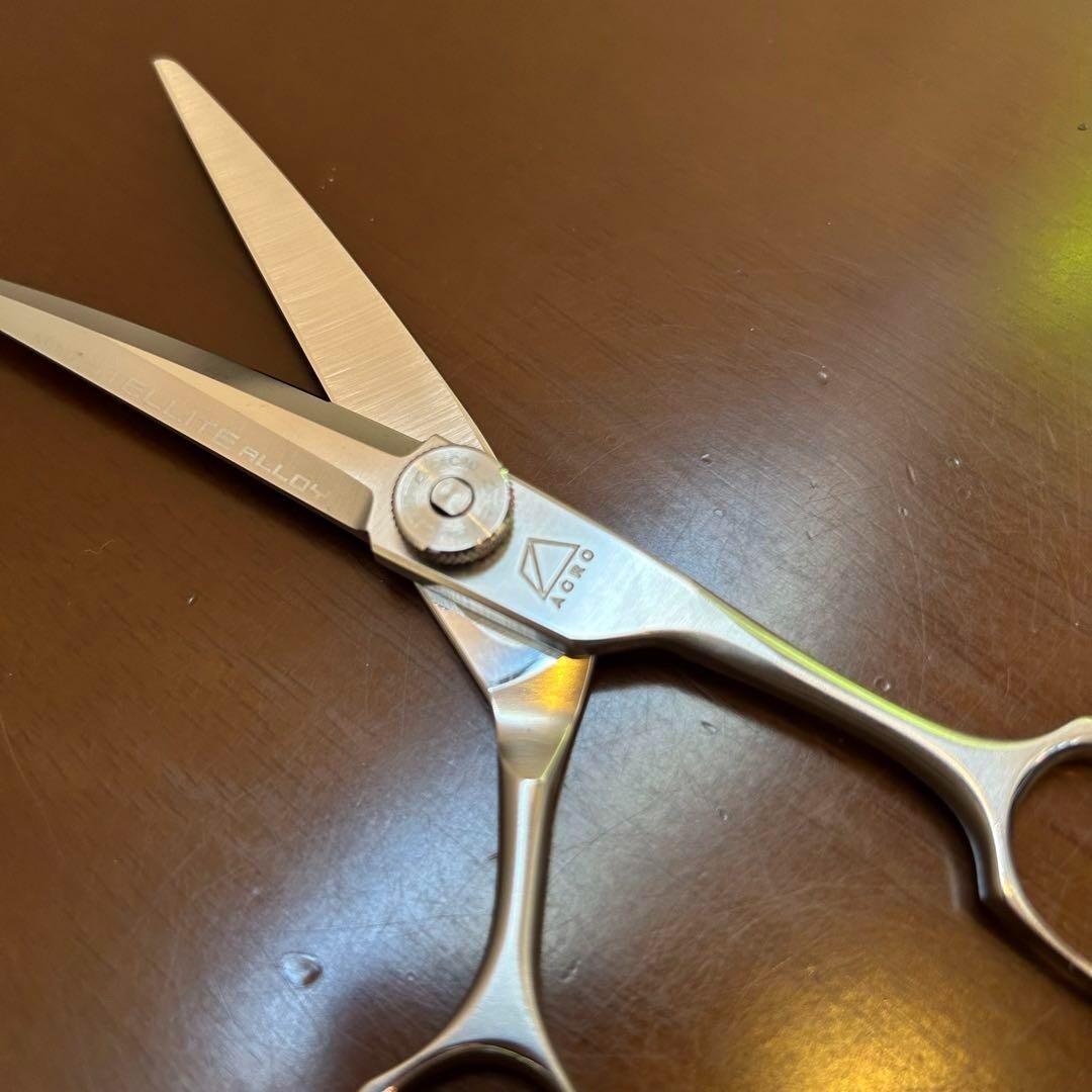 Mizutani Scissors ACRO STELLITE alloy 6 in Chop Slide Stroke Cut