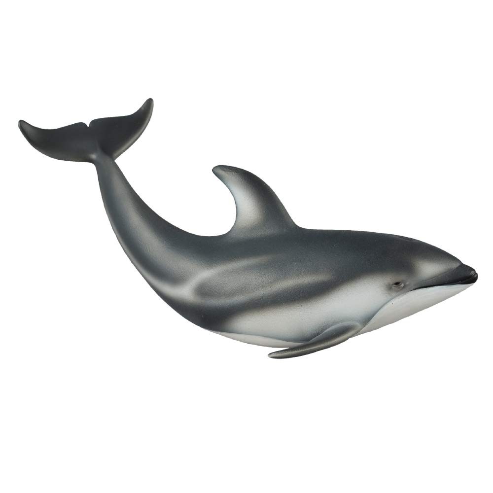 COLLECTA Pacific White Sided Dolphin Sea Life Marine Animal Figure