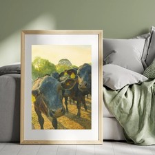 Curious Aberdeen Angus Cattle Watercolour Print – Farm Animal Art