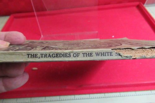 The Tragedy of the White Slaves: True Stories Exposing Methods Used in Trappin.. - Picture 3 of 6
