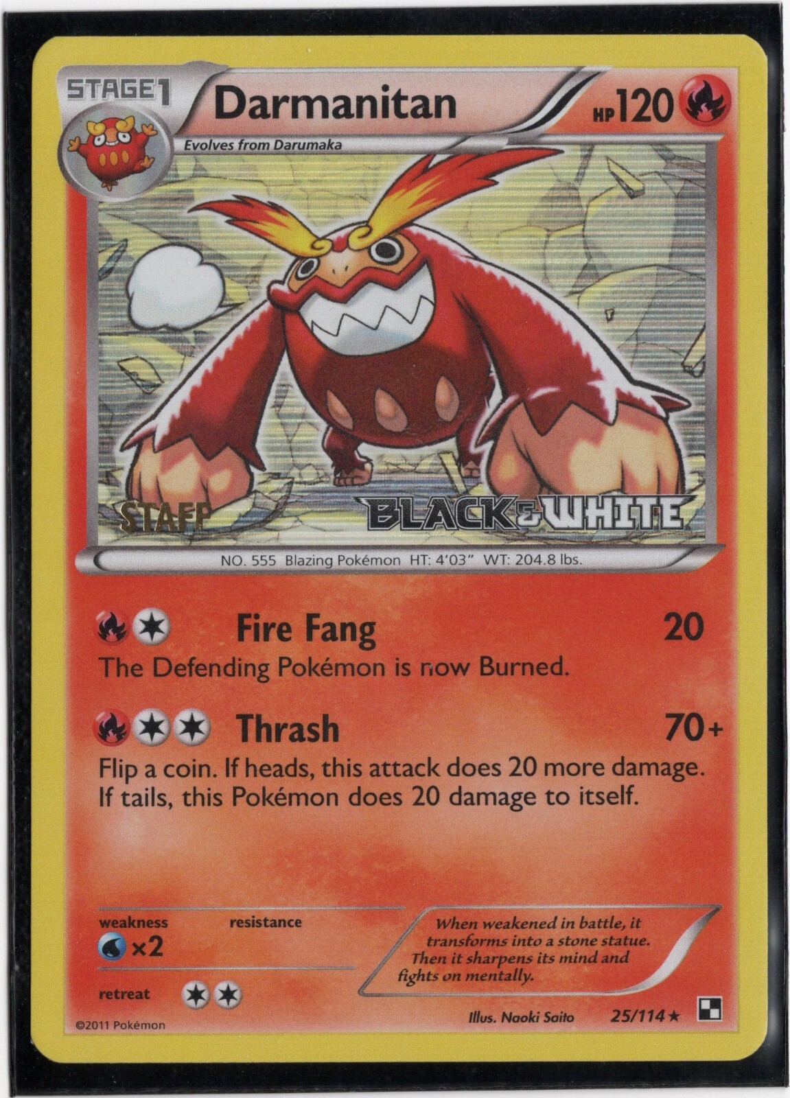 Pokemon Darmanitan 25/114 Black & White Prerelease STAFF Promo Holofoil MP